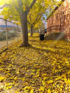 the leaves on the ground are covering the ground and trees in front of a building