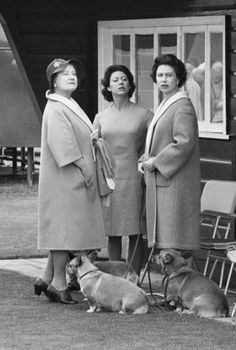 three women standing next to each other with two dogs