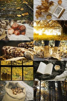 a collage of photos with autumn leaves, books and an open book on the ground