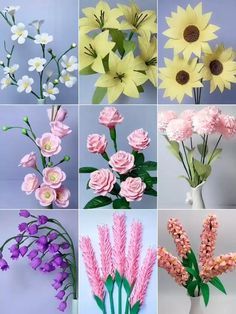 several different types of flowers in vases