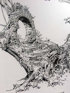 an ink drawing of a tree that is growing out of the ground