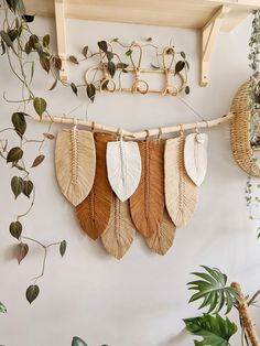 several leaves hang from a clothes line on a wall next to plants and other items