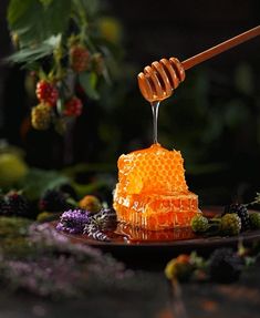 the honey is being poured on top of the beehive and surrounded by berries