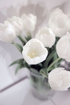 white tulips are in a clear vase on a tile countertop with water