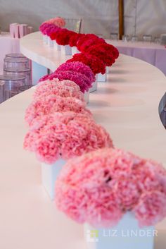 pink and red flowers are lined up on the table