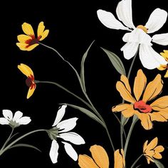 some white and yellow flowers on a black background