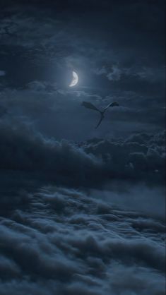 a bird flying in the night sky with clouds and a full moon behind it,