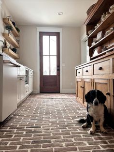 a black and white dog sitting on the floor in front of an open kitchen door