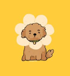 a brown dog sitting on top of a yellow background