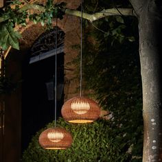 two lamps hanging from the side of a tree