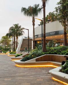 an outdoor seating area with palm trees and plants on the side walk at night time