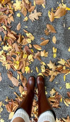 a person standing in front of leaves on the ground