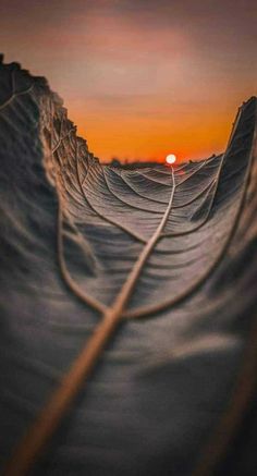 the sun is setting over an ocean wave with lines going through it, and there are no waves in sight