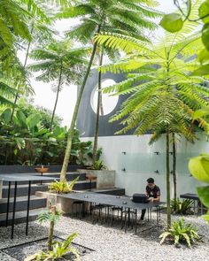 a person sitting at a table in the middle of a courtyard with trees and plants