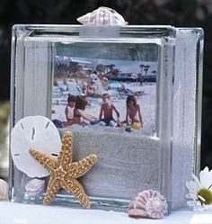 an image of a beach scene with starfish on it