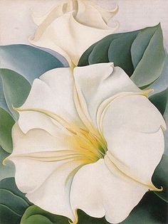 O'Keeffe. Jimson Weed 3, 1931 Alfred Stieglitz, Georgia O'keefe Art, Georgia O Keeffe Paintings, O Keeffe Paintings, Georgia O'keeffe, Needlepoint Ideas, Georgia Okeefe, Georgia O Keeffe, O Keeffe