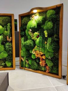 two wooden frames filled with green moss and flowers