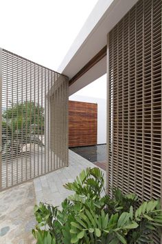 a plant in front of a building with wooden slats on the walls and floor