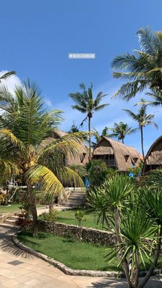 palm trees and thatched roofs line the walkways to an overhanged resort