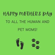 happy mother's day to all the human and pet moms on green background