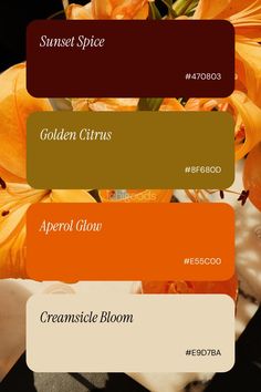 an image of flowers that are in the color palettes on this phone screen,