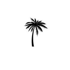 a black and white photo of a palm tree with no leaves on the bottom half