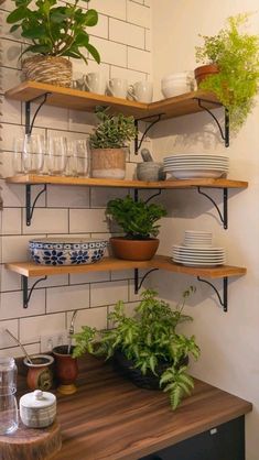 some plants and plates are on shelves in the corner of a room with white brick walls