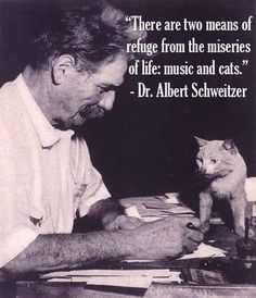 an old man sitting at a table with a cat on it's lap and a quote from dr albert schweizer