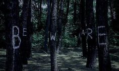 black and white photograph of trees with words written on them in the middle of a forest