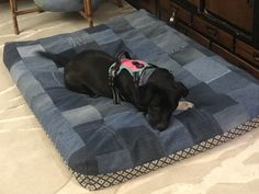 a black dog laying on top of a blue blanket