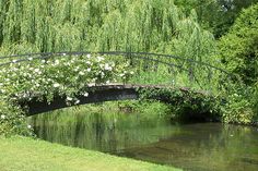 a bridge over a river with flowers growing on it and green grass in the foreground