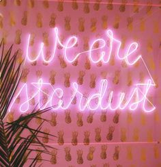 a neon sign that says we are astrodust next to a potted palm tree