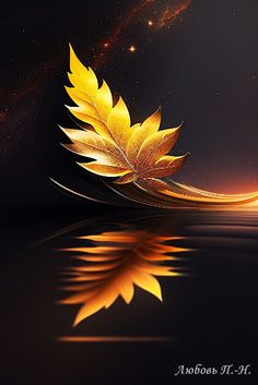 a golden leaf floating on top of water