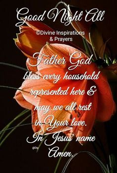 a red flower with the words, god night all divine inspirations & prayers