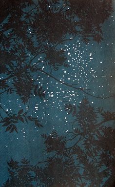 the night sky is full of stars and trees