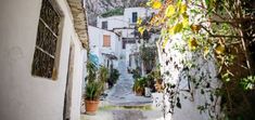 an alley way with potted plants on either side and stone steps leading up to it