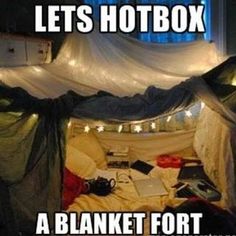 a bed with mosquito netting over it that says, lets hotbox a blanket fort