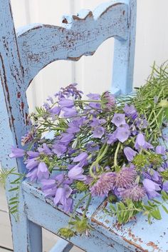 a blue chair with purple flowers on the seat and green plants growing out of it