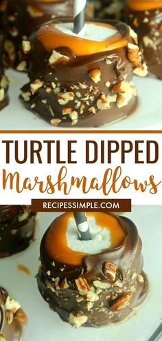 turtle dipped marshmallows on top of each other with chocolate and nuts