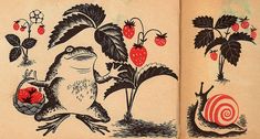 an old book with pictures of animals and plants on it's pages, including strawberries