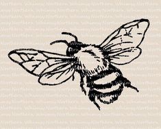 a black and white drawing of a bee on a beige background with words written below it