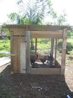 a chicken coop with chickens in it and the words homemade chicken coop sanitizer spray