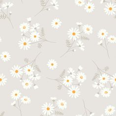 white daisies and green leaves on a gray background