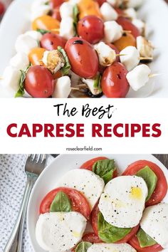 The best caprese recipes. Take advantage of flavorful summer ingredients to make salads, appetizers, sandwiches, pizza, and more! #bestcapreserecipes #capresesalad #capreserecipes Caprese Salad Dressing, Caprese Pasta Recipe, Appetizers Sandwiches, Baked Caprese Chicken, Caprese Bruschetta, Summer Potluck Recipes, Pasta And Chicken, Caprese Pizza, Warm Weather Recipes