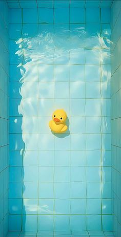 a yellow rubber duck floating in a blue swimming pool with water reflections on the tiles