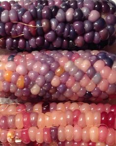 three different colored corn on the cob
