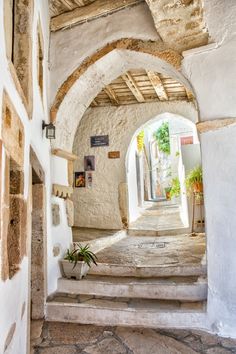 an alley way with steps leading up to the door and potted plants on either side