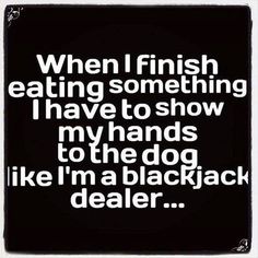 Dog Quotes, 10 Funniest, Funny Thoughts, Memes Humor, Humor Memes, Blackjack, Bull Terrier, Bones Funny