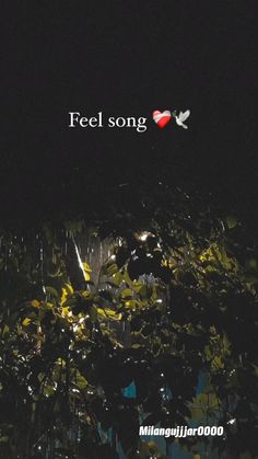 the words feel song are lit up in the dark night sky with leaves on it