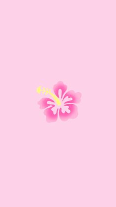 a pink flower on a pink background